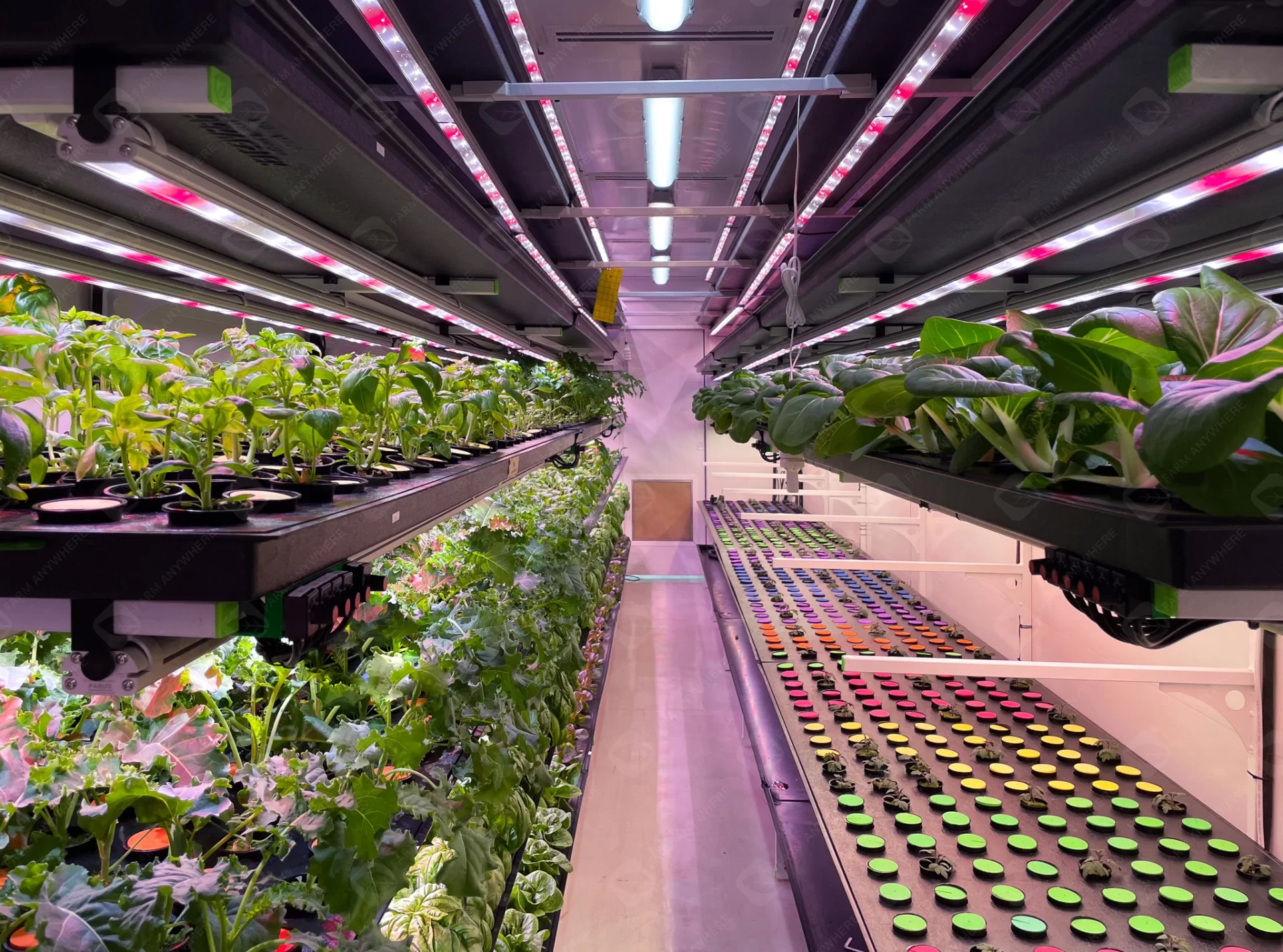 Vertical Farming in Shipping Conatiner